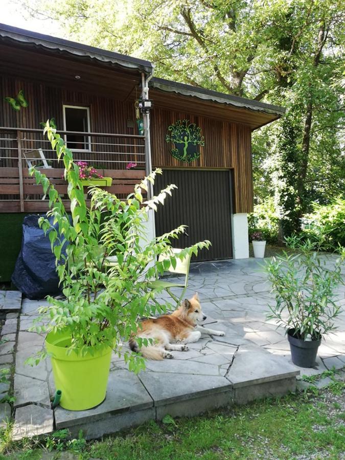 Titi'S Chalet Durbuy Exteriör bild